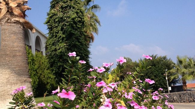 קיירניה Onar Village שירותים תמונה